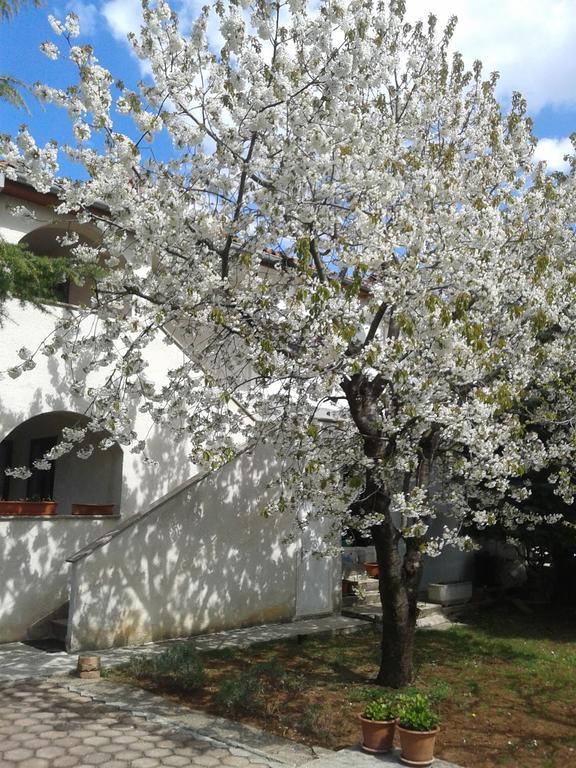 Apartments Porec Istria By Nina Dış mekan fotoğraf